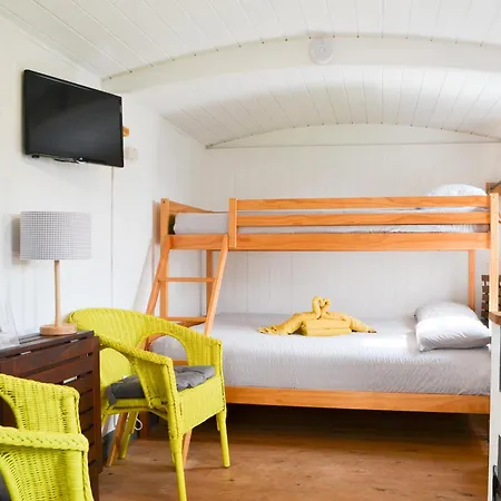 Jamies Shepherds Hut - Uk43566